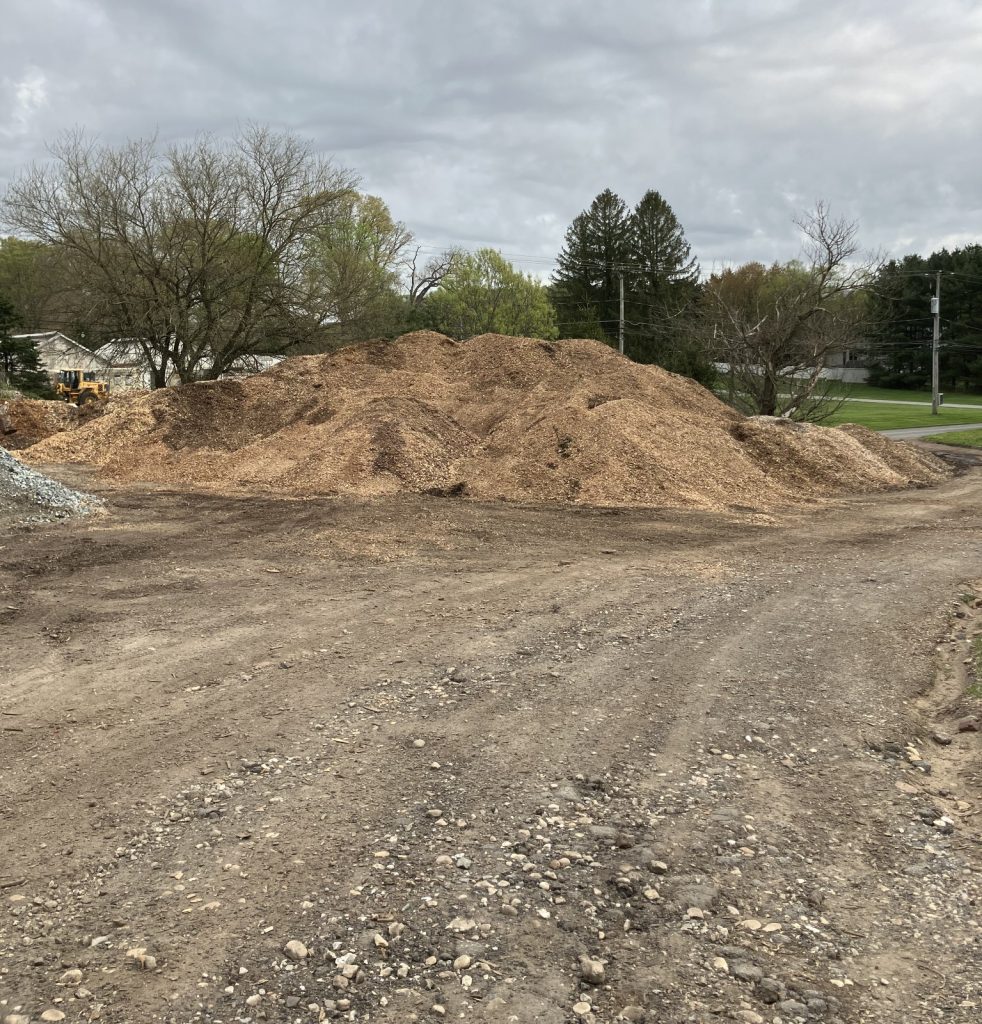 Seasonal Lawn Care Tips for a Healthy and Beautiful Yard