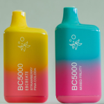 Disposable Vapes: A Complete Guide to Convenience, Usage, and Trends