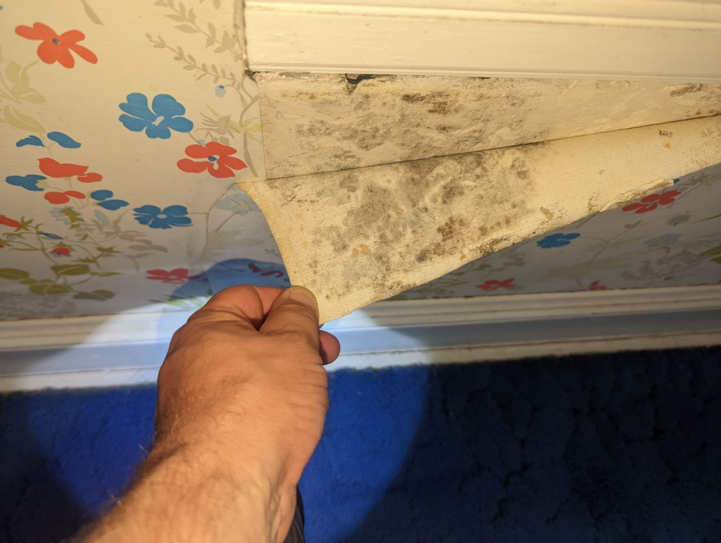 Protecting Your Home with Professional Basement Waterproofing