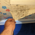 Protecting Your Home with Professional Basement Waterproofing