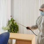 Protecting Your Property With Effective Pest Control
