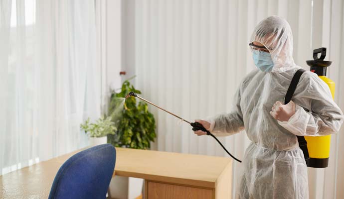Protecting Your Property With Effective Pest Control